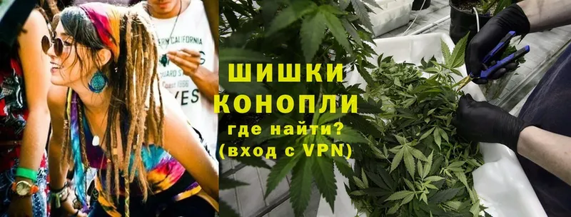 Конопля Bruce Banner  Владикавказ 